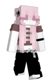 Front of DollyMei's skin