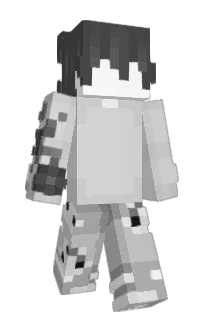 Front of FbCi's skin