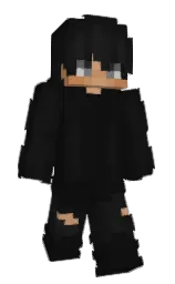 Minecraft skin — Classic model