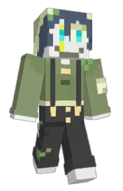Skin preview