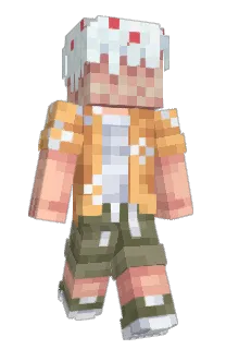 Front of PDamion's skin