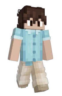 hxdini's Minecraft skin