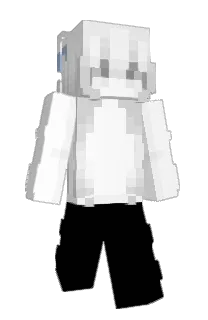 Front of ASLEI's skin