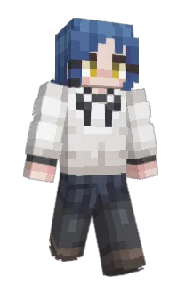 Front of DREM_15's skin