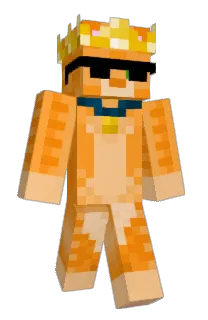 Front of Rautix's skin