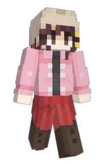 NDmirror's Minecraft skin