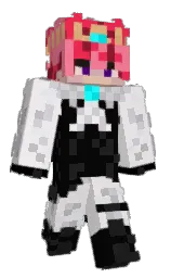 bon jour and cod gray Minecraft skin — Classic model