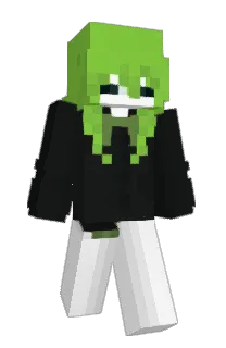 napitsu's Minecraft skin