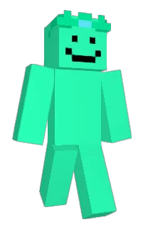 Front of Suplized's skin