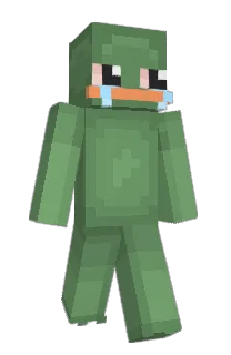 Front of p4rity's skin
