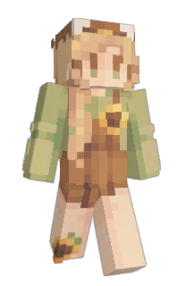 Front of pwrh's skin