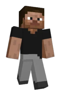 faaggot Minecraft avatar full body