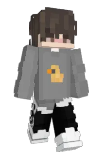 fabiabi_14 Minecraft avatar full body