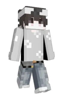 fabian2010 Minecraft avatar full body
