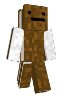 fabiwabi Minecraft avatar full body