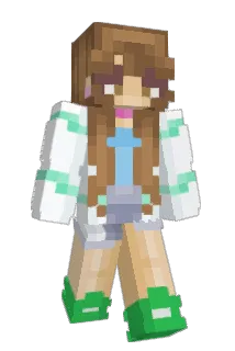 faceinvader Minecraft avatar full body