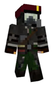 Skin preview