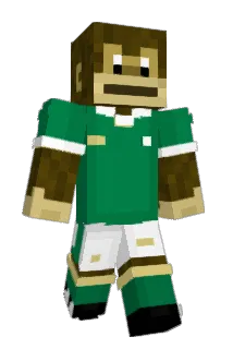 faelsk8 Minecraft avatar full body