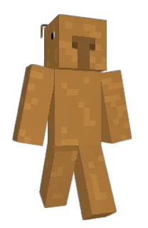 Front of amlx's skin
