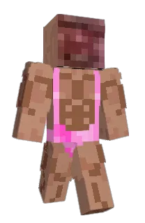 chypixel's Minecraft skin