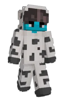 Front of Acee4's skin