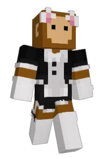 fairyvibin3 Minecraft avatar full body
