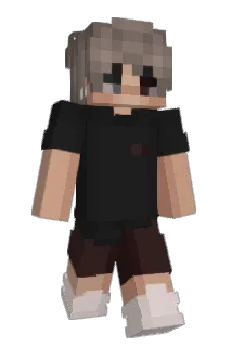 faiyded Minecraft avatar full body
