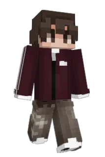 fake4sw_ Minecraft avatar full body