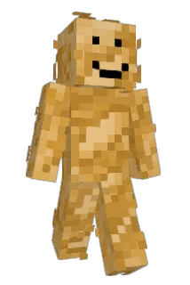 fallenaiwfh Minecraft avatar full body