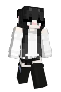 fallinout Minecraft avatar full body