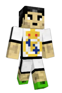 fallseth Minecraft avatar full body