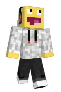 fam_21 Minecraft avatar full body