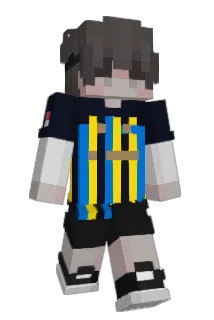 fanJares Minecraft avatar full body