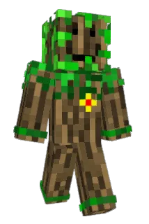 fanch317 Minecraft avatar full body