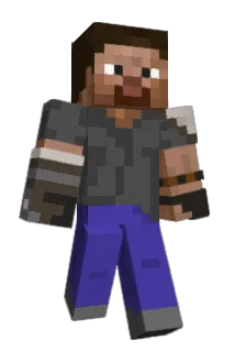 fancydress Minecraft avatar full body