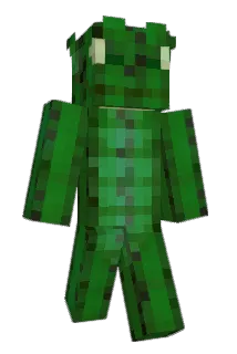 fannypackonfire Minecraft avatar full body