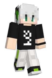 fantong408 Minecraft avatar full body