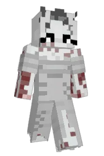 faradaycages Minecraft avatar full body