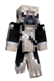 faregon Minecraft avatar full body