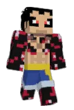 farmer49 Minecraft avatar full body