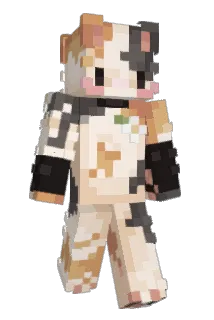 farn311 Minecraft avatar full body