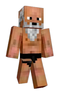 farseert Minecraft avatar full body