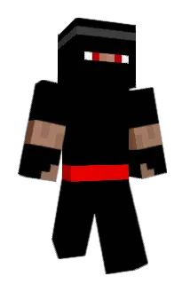 fartingninja19 Minecraft avatar full body