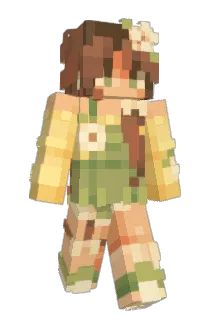 fastcas2211 Minecraft avatar full body