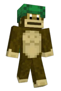 faster_oogway Minecraft avatar full body