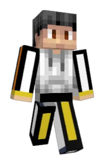 fastflight21 Minecraft avatar full body