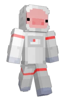 fatpigg Minecraft avatar full body