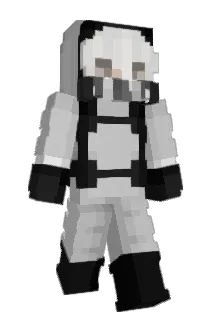 fazber_gaming Minecraft avatar full body