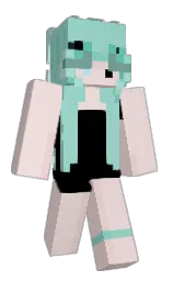 Classic Minecraft skin