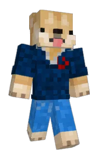 Front of DogeKnowz's skin